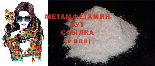 прущие грибы Мегион