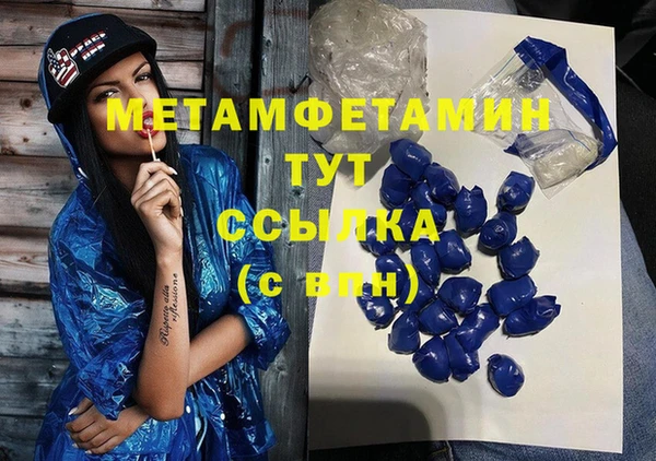 прущие грибы Мегион