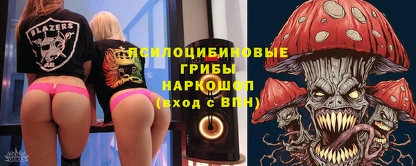 стаф Медвежьегорск