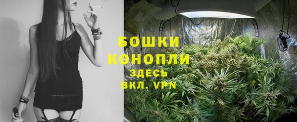 стаф Медвежьегорск