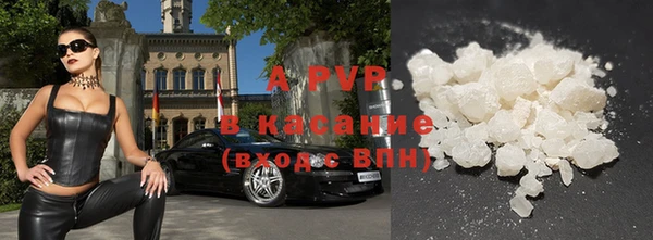 прущие грибы Михайловка