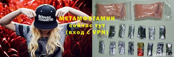 прущие грибы Михайловка