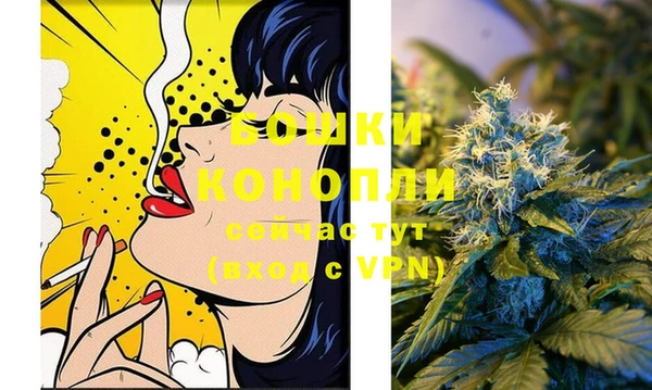 мдпв Михайловск