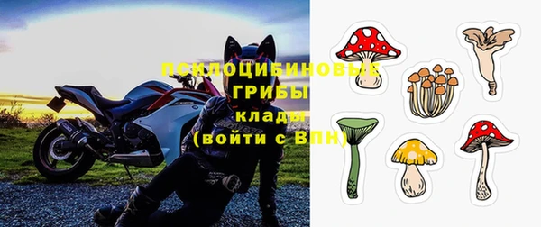 стаф Медвежьегорск