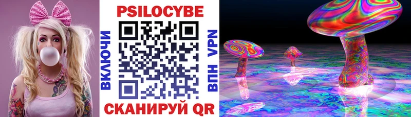 Галлюциногенные грибы Magic Shrooms  купить наркоту  Тамбов 
